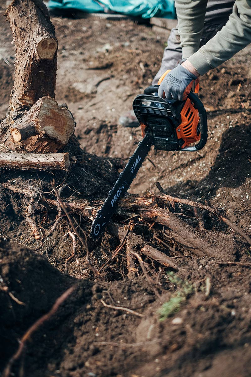 Garden clearance using chainsaw