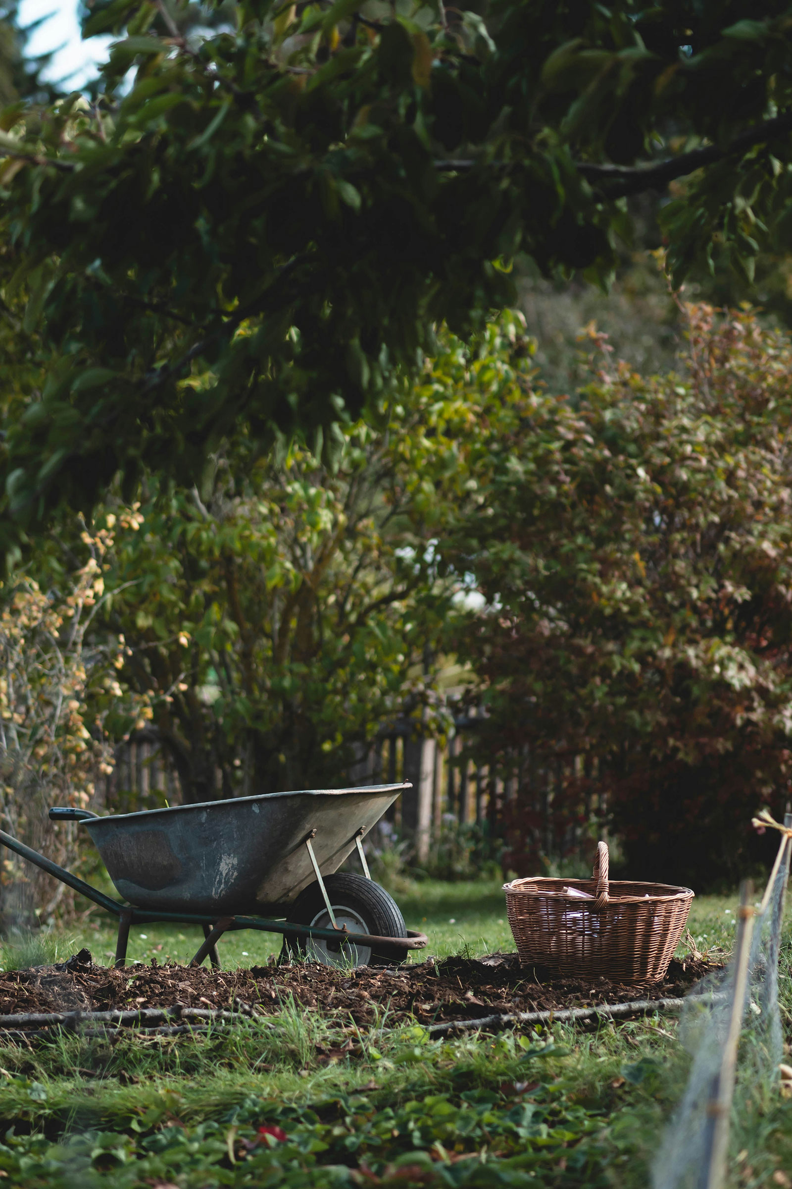 Garden tidy-up with wheelbarrow work