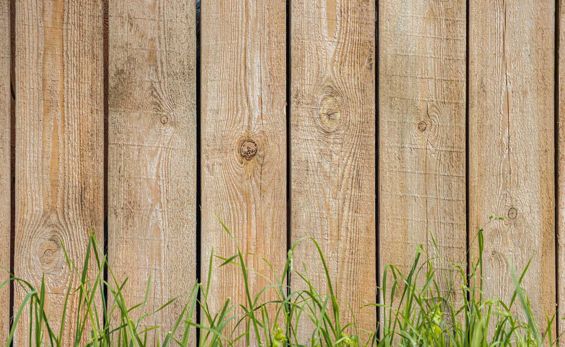 Garden Fencing