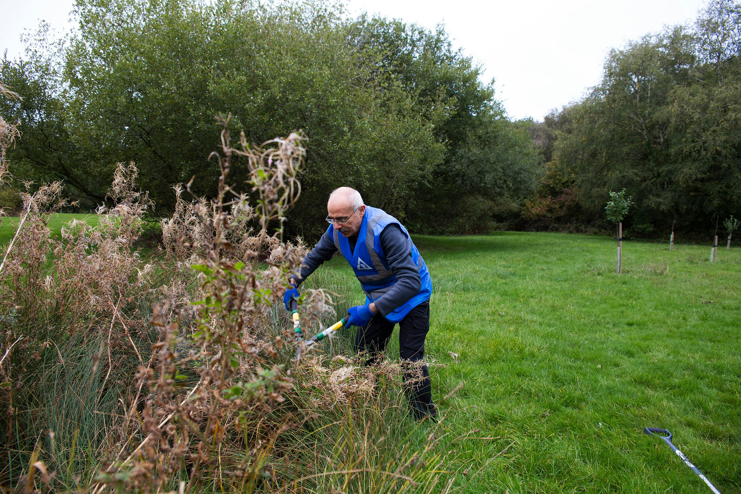 Helping with garden maintenance for elderly client