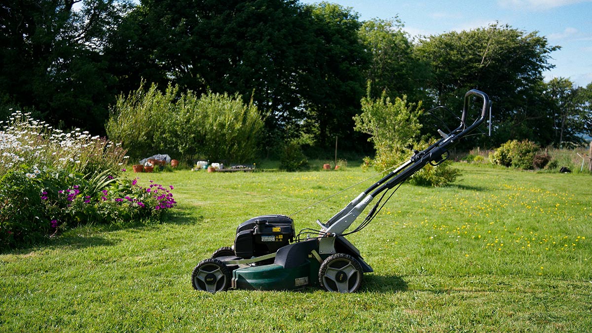 Lawn care