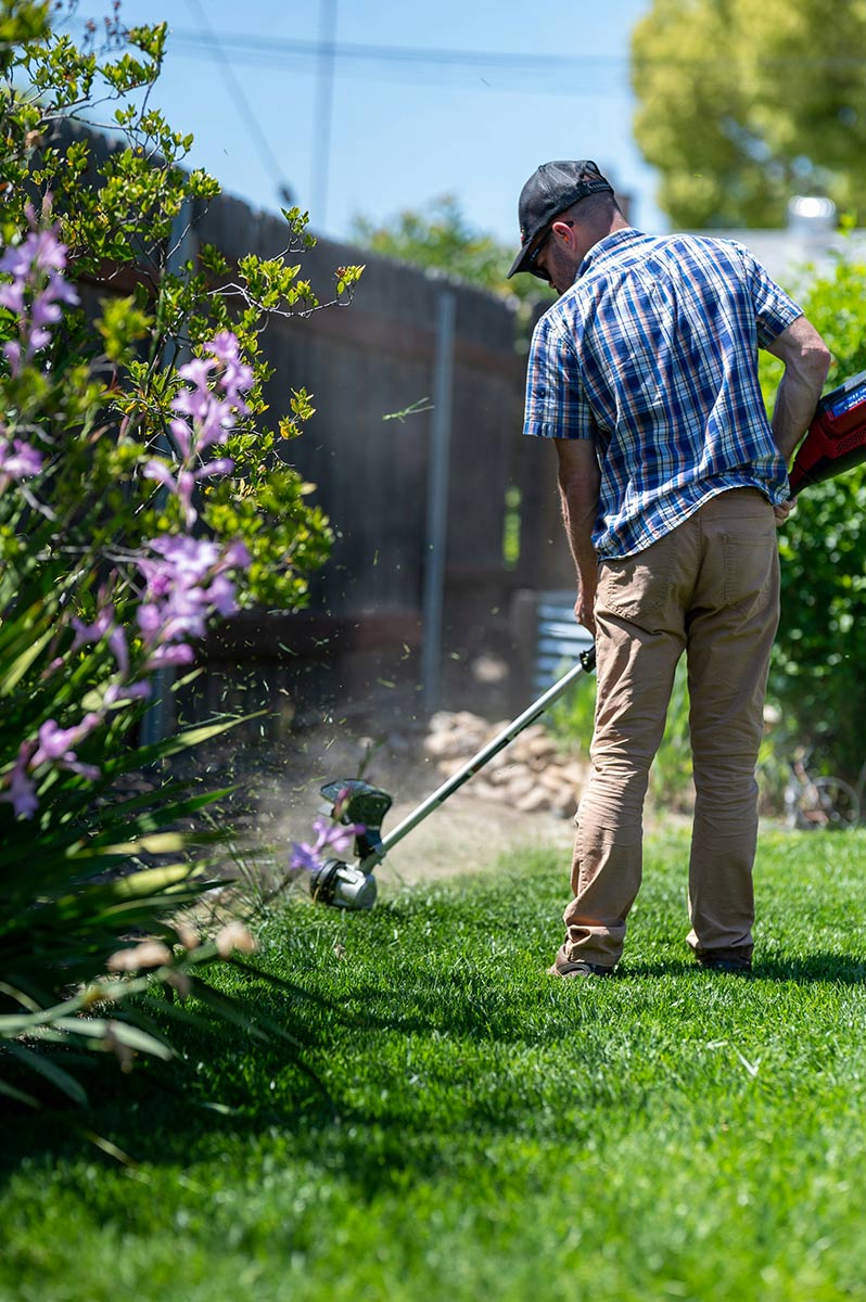 Strimming garden edges in West Sussex