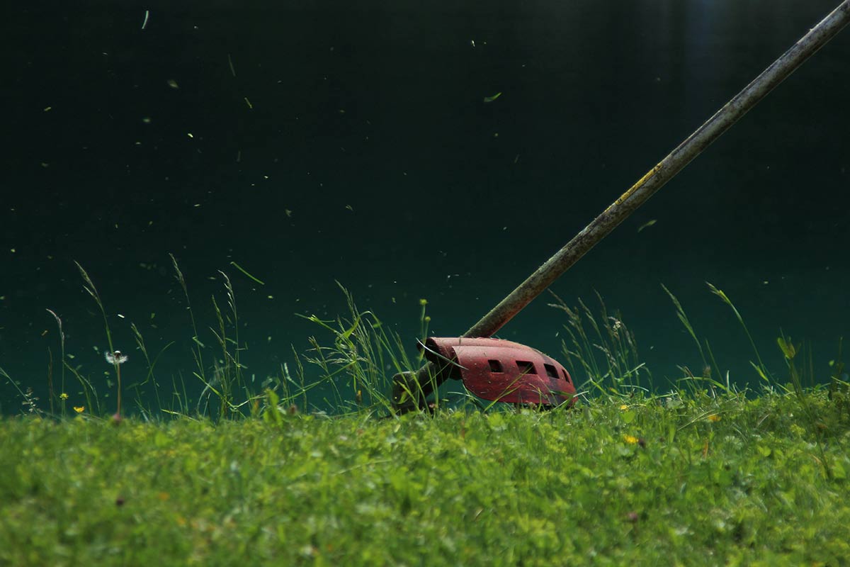 Strimming long grass in Sussex garden